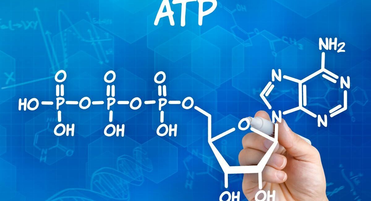 cos'è atp