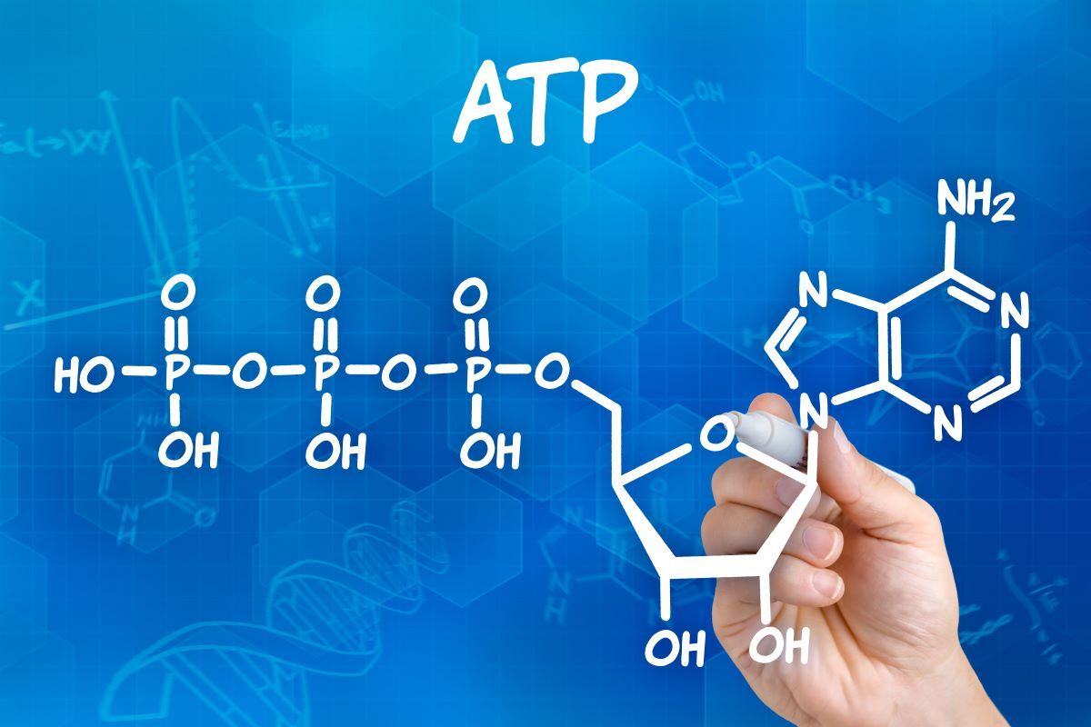 cos'è atp